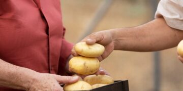 pommes de terre astuces techniques